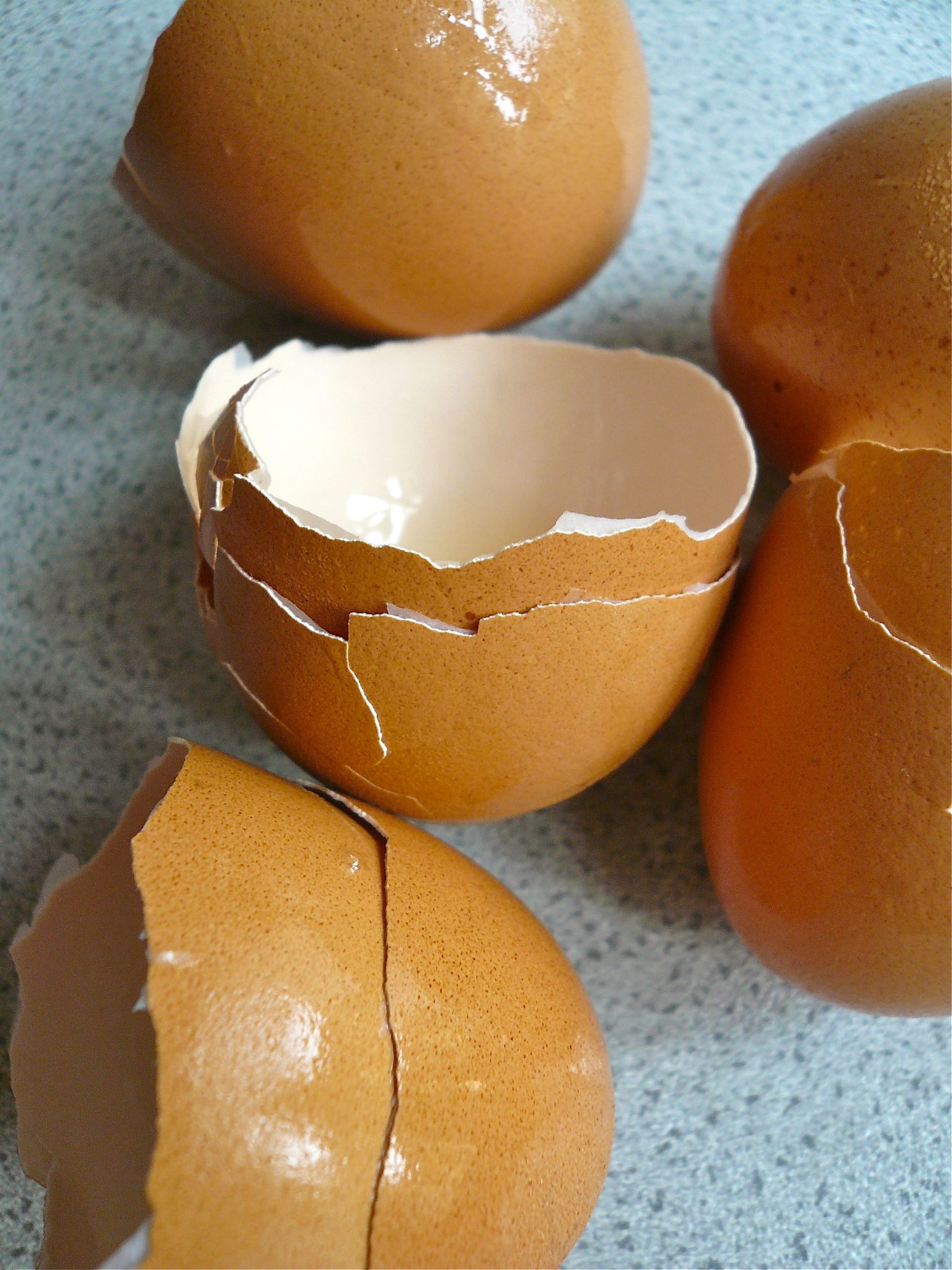 Homemade Pasta Sharing Plates