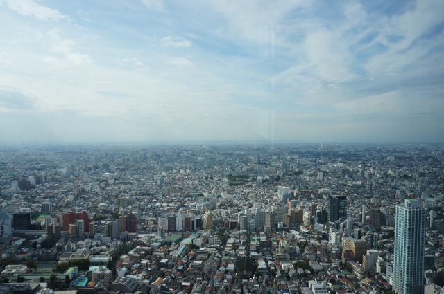 View from Tokyo Metropolitan Building