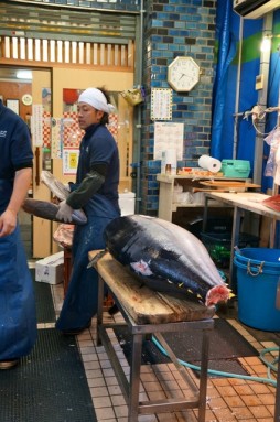 cutting tuna 21