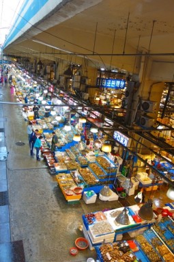 seoul - noryangjin market1